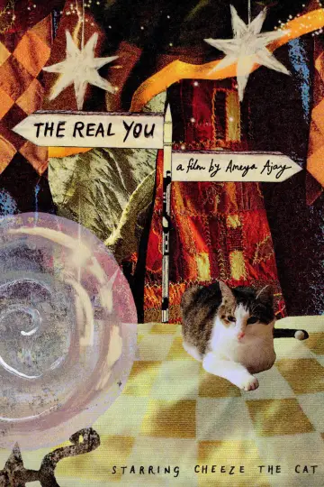Poster to the movie "The Real You" #781655