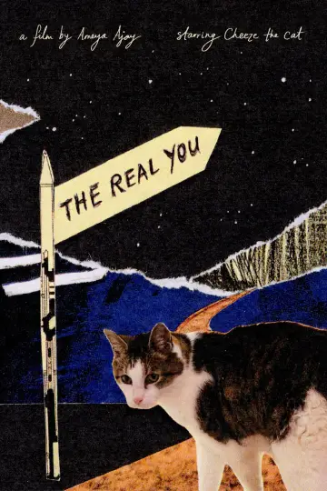 Poster to the movie "The Real You" #781656