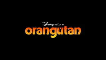 Backdrop to the movie "Orangutan" #798700