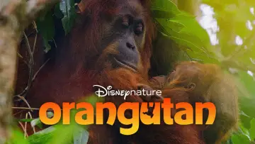 Backdrop to the movie "Orangutan" #817525