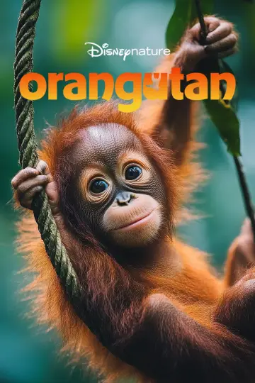Poster to the movie "Orangutan" #817531
