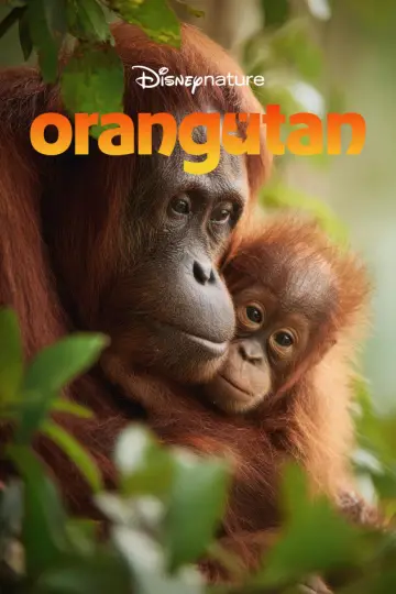Poster to the movie "Orangutan" #817532