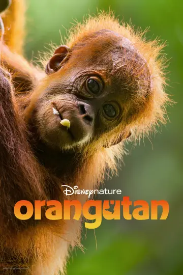 Poster to the movie "Orangutan" #817533