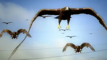 Backdrop to the movie "Birdemic : Macron Terror" #773023