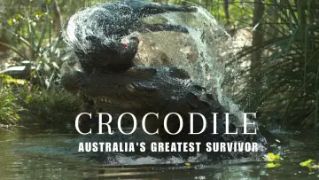Backdrop to the movie "Crocodile: Australia