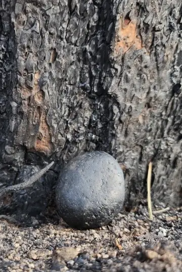 Poster to the movie "Scorched Stone, Rolling" #803671