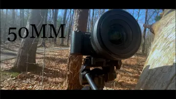 Backdrop to the movie "50mm" #847479