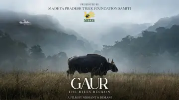 Backdrop to the movie "Gaur: The Hills Beckon" #781567