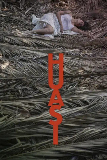 Huasi poster