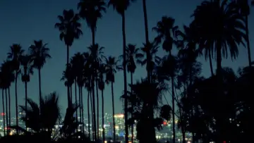 Backdrop to the movie "Palm" #843529