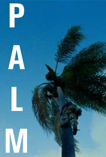 Poster to the movie "Palm" #843532