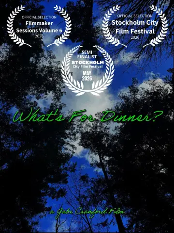 Poster to the movie "What