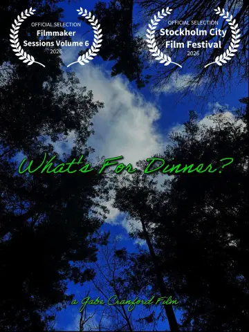 Poster to the movie "What