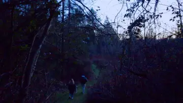 Backdrop to the movie "What