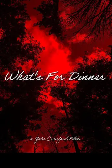 Poster to the movie "What