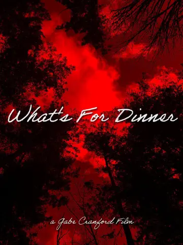 Poster to the movie "What