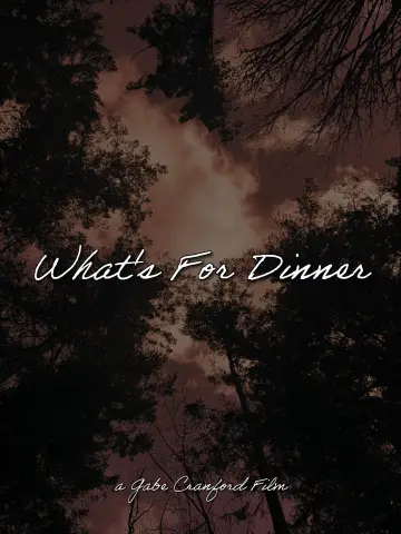 Poster to the movie "What