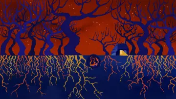 Backdrop to the movie "A Dog