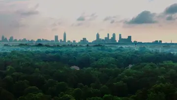 Backdrop to the movie "The Tree Economy" #775517