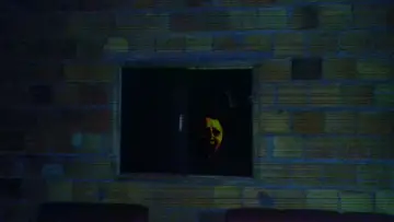 Backdrop to the movie "Happy Face In The Window" #779355