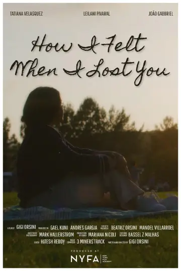 How I Felt When I Lost You poster