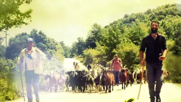 Backdrop to the movie "Ritorno al tratturo" #824315