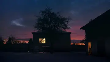 Backdrop to the movie "Blossoming" #1169224