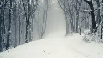 Backdrop to the movie "I Had Two Fears" #825791