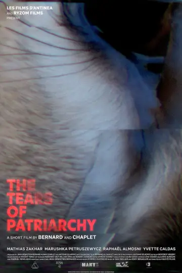 Poster to the movie "Les Larmes du Patriarcat" #1530902
