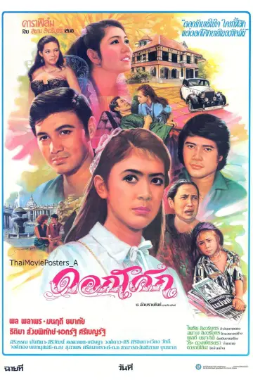 Doksoke poster