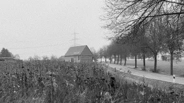 Backdrop to the movie "sie schaute in die ferne" #780941