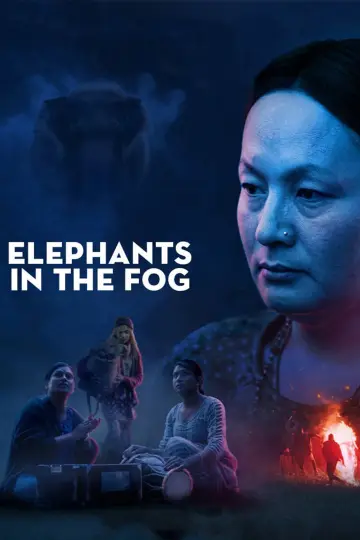 Poster to the movie "Elephants in the Fog" #1570698