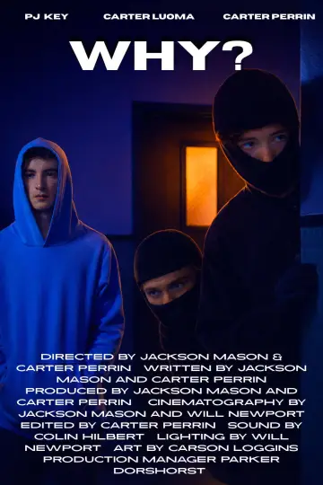 Why? poster