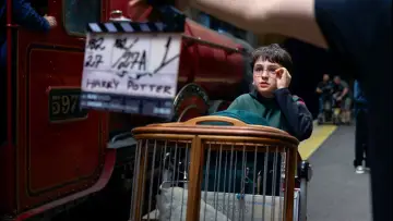 Backdrop to the movie "Finding Harry: The Craft Behind the Magic" #793995