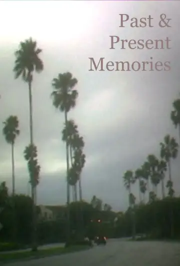 Past & Present Memories poster