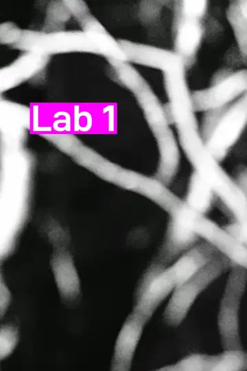 Lab 1 poster