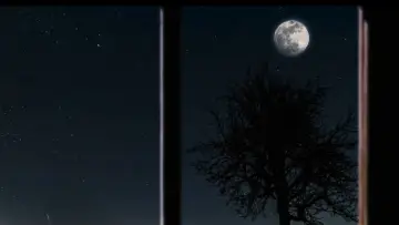 Backdrop to the movie "Moon Town" #964852
