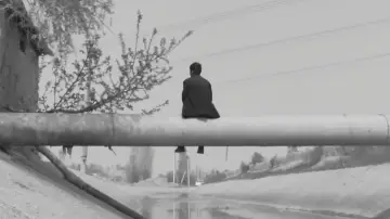 Backdrop to the movie "The Letter" #981508