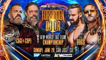 Backdrop to the movie "AEW x NJPW x CMLL x Stardom Present Forbidden Door 2026" #926982