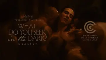 Backdrop to the movie "What Do You Seek in the Dark?" #824317