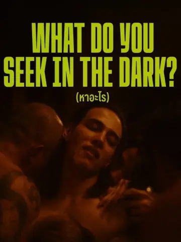 Poster to the movie "What Do You Seek in the Dark?" #824324