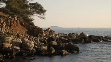 Backdrop to the movie "Tu m