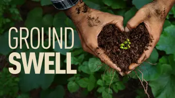 Backdrop to the movie "Groundswell" #910690