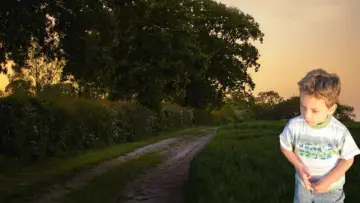 Backdrop to the movie "SUN LIGHT" #850555
