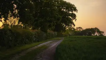 Backdrop to the movie "SUN LIGHT" #850556