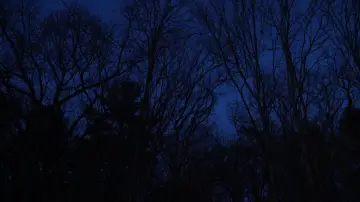 Backdrop to the movie "Hollow Walker of the Lake" #825892
