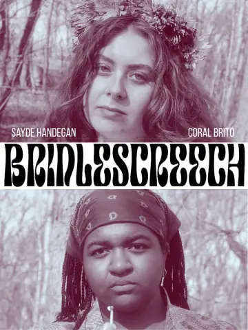 Bridlescreech poster