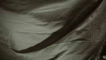 Backdrop to the movie "Worm Hunger" #848287