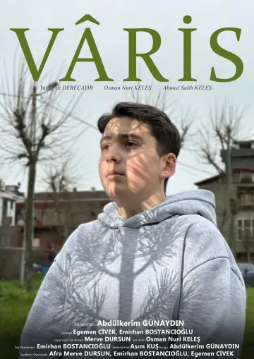 Poster to the movie "Vâris" #850514