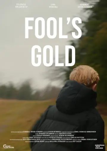 Poster to the movie "Fool